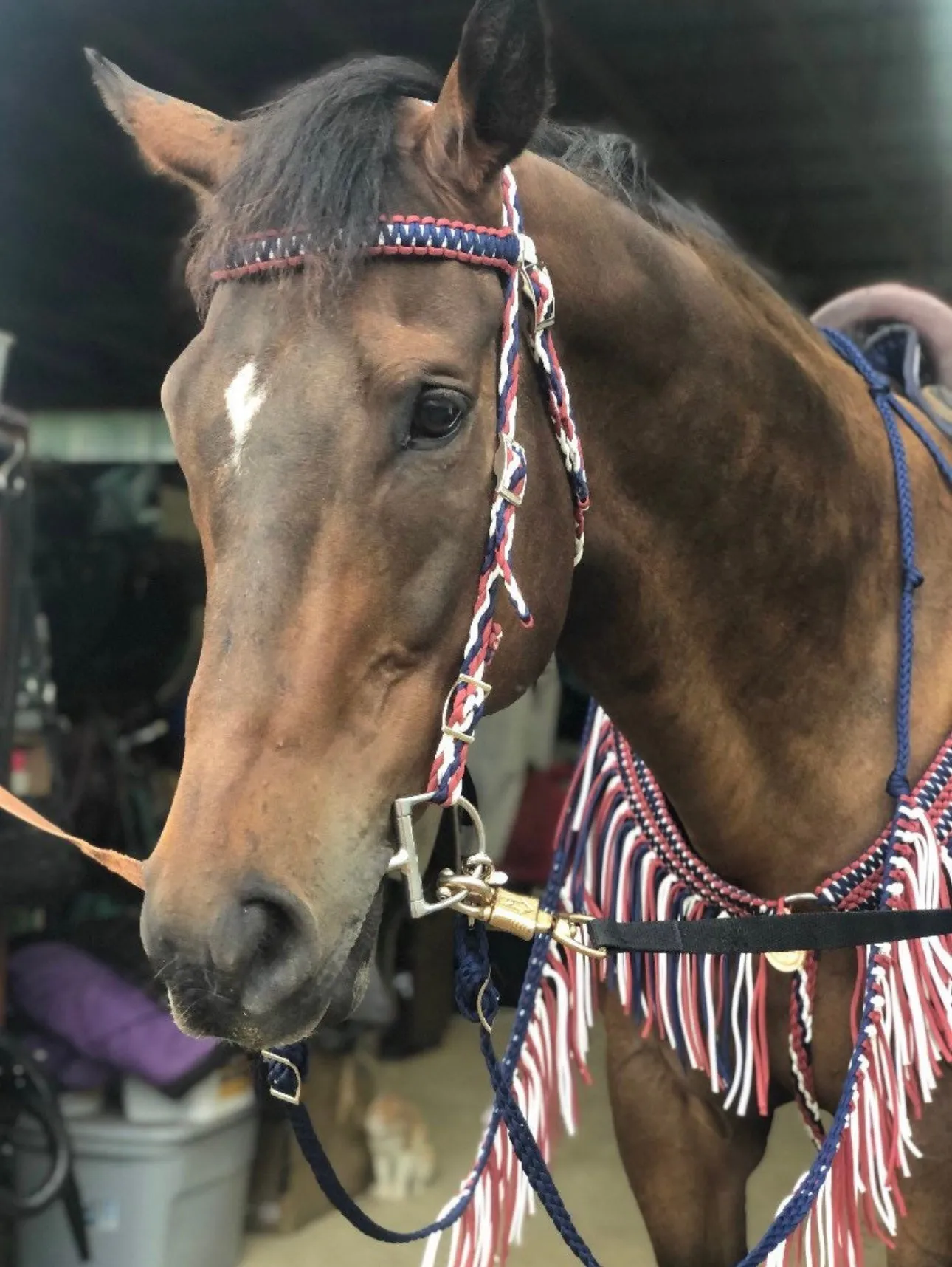 Patriotic tack set average horse size