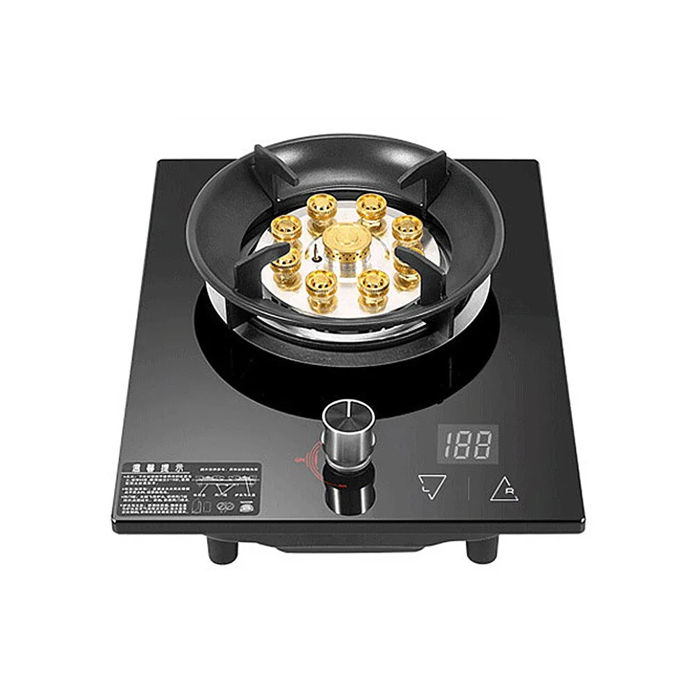 Single Unit Panel Gas Stove