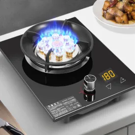 Single Unit Panel Gas Stove